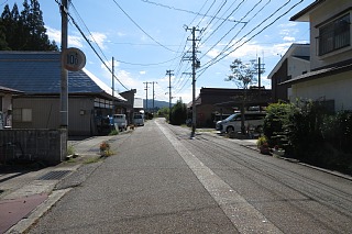 photo-20231014-45