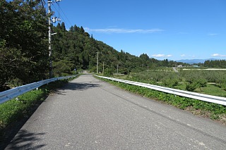 photo-20231014-49
