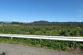 photo-20231014-50