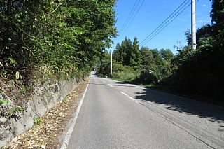 photo-20231014-55