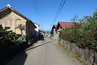 photo-20231014-61