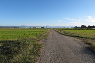 photo-20231014-70
