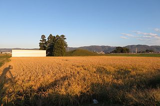 photo-20231014-78