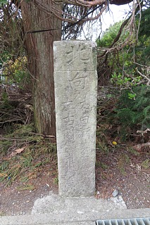 photo-20240421-10
