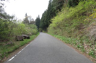 photo-20240421-12