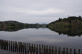 photo-20240421-2