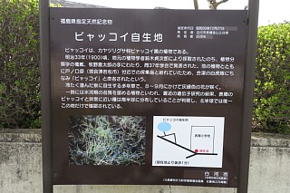 photo-20240421-23