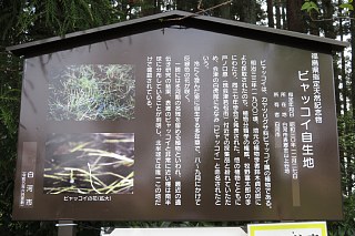 photo-20240421-25