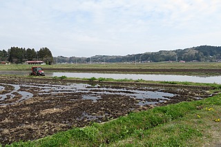 photo-20240421-28