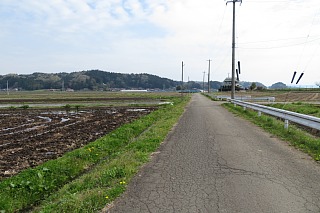 photo-20240421-29