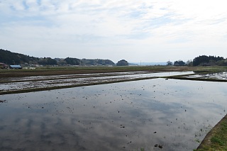 photo-20240421-30