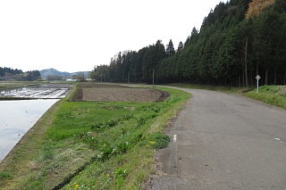 photo-20240421-31