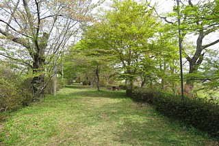 photo-20240421-41