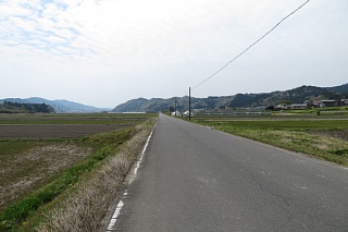 photo-20240421-44