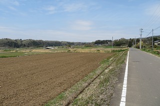 photo-20240421-52