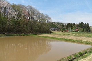 photo-20240421-57