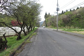 photo-20240421-7