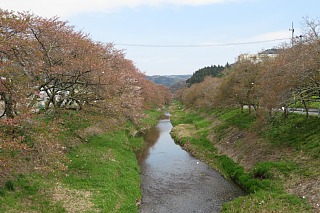 photo-20240421-72