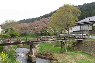 photo-20240421-73