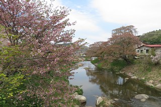 photo-20240421-74