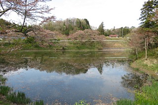 photo-20240421-76