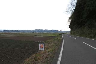 photo-20240421-81