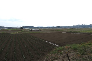 photo-20240421-82