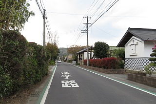 photo-20240421-83