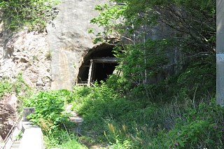 photo-20240511-22