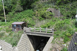 photo-20240511-42