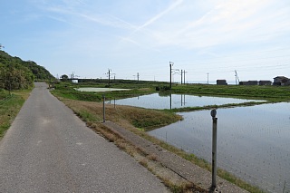 photo-20240511-51