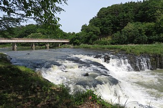 photo-20240519-14