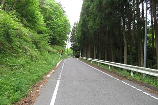 photo-20240519-28