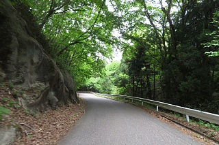 photo-20240519-32