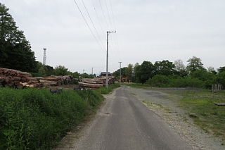 photo-20240519-37