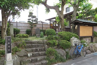 photo-20240519-4