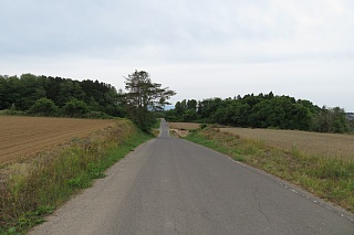 photo-20240519-43