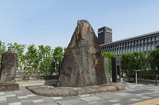 photo-20240519-5