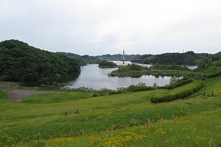 photo-20240519-55