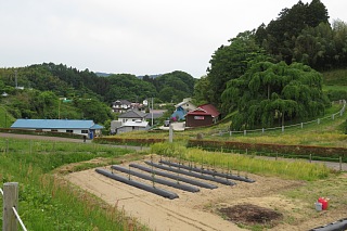 photo-20240519-57