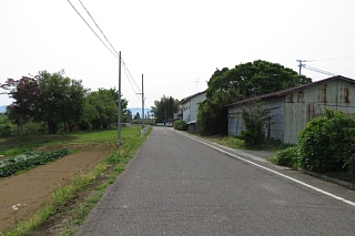 photo-20240519-6