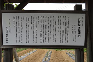 photo-20240519-74