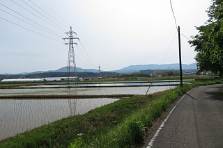photo-20240519-8