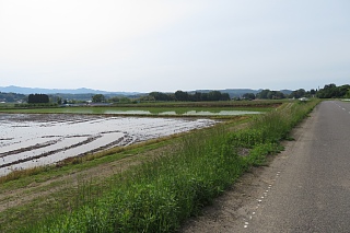 photo-20240519-9