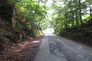 photo-20240713-121
