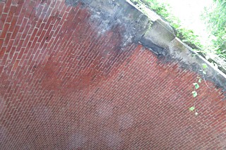 photo-20240713-123