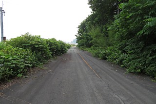 photo-20240713-125