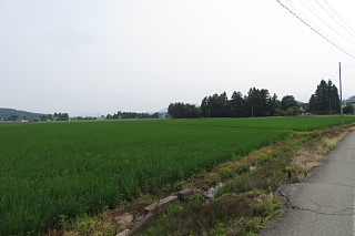 photo-20240713-17