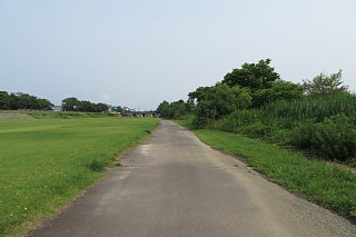 photo-20240713-2