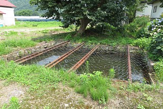 photo-20240713-35